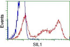 Image no. 2 for anti-Nucleotide Exchange Factor SIL1 (SIL1) antibody (ABIN1496809) (SIL1 antibody)