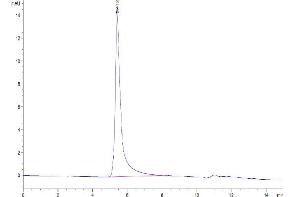 CCR2 Protein-VLP (AA 1-360) (Biotin)