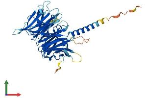 AlphaFold protein structure predicition of Mouse Recombinant Kptn Protein, UniprotID Q8VCX6 (KPTN Protein (AA 1-430) (His tag))