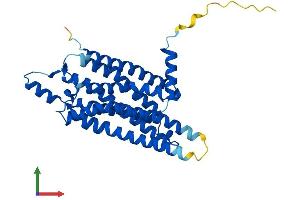 AlphaFold protein structure predicition of Human Recombinant ADORA1 Protein, UniprotID P30542 (ADORA1 Protein (AA 1-326) (His tag))