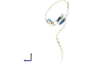 AlphaFold protein structure predicition of Mouse Recombinant Ascl1 Protein, UniprotID Q02067