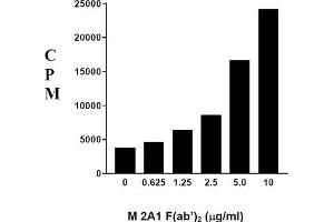 Image no. 1 for Mouse anti-Rat IgM (Chain mu) antibody (ABIN371250) (Mouse anti-Rat IgM (Chain mu) Antibody)