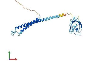 AlphaFold protein structure predicition of Human Recombinant PSMD9 Protein, UniprotID O00233