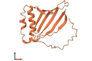 AlphaFold protein structure predicition of Human Recombinant HEXA-AS1 Protein, UniprotID Q9H8Q6