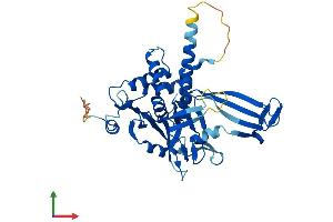 Protein Structure (PS) image for Ubiquitin Specific Peptidase 46 (USP46) (AA 1-366) protein (His tag) (ABIN7545002)