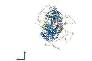 AlphaFold protein structure predicition of Human Recombinant ARHGAP35 Protein, UniprotID Q9NRY4