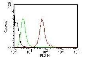 Flow Cytometric analysis of human Pan-Cytokeratins on HeLa cells. (KRT77, KRT76 antibody (PE))