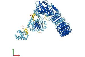 AlphaFold protein structure predicition of Mouse Recombinant Nlrp4c Protein, UniprotID Q3TKR3 (Nlrp4c Protein (AA 1-982) (His tag))