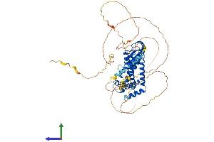 AlphaFold protein structure predicition of Mouse Recombinant Ccdc82 Protein, UniprotID Q6PG04 (CCDC82 Protein (AA 1-518) (His tag))