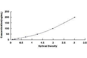 Typical standard curve (FTH1 ELISA Kit)