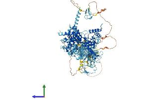 AlphaFold protein structure predicition of Mouse Recombinant Rnf31 Protein, UniprotID Q924T7