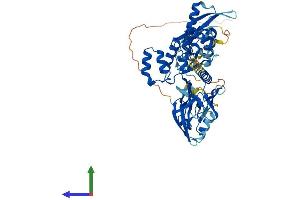 AlphaFold protein structure predicition of Mouse Recombinant Snx27 Protein, UniprotID Q3UHD6 (SNX27 Protein (AA 1-539) (His tag))