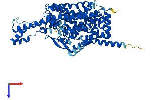 AlphaFold protein structure predicition of Mouse Recombinant Slc6a20a Protein, UniprotID Q8VDB9 (Slc6a20a Protein (AA 1-592) (His tag))