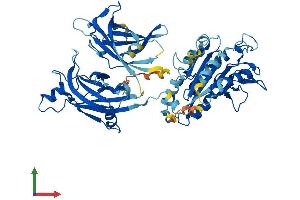AlphaFold protein structure predicition of Mouse Recombinant Cpne6 Protein, UniprotID Q9Z140 (CPNE6 Protein (AA 1-557) (His tag))