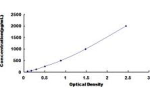 Typical standard curve (Calreticulin ELISA Kit)