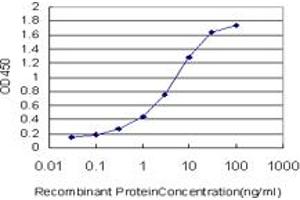 Detection limit for recombinant GST tagged COPS3 is approximately 0. (COPS3 antibody  (AA 324-422))