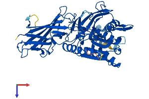 AlphaFold protein structure predicition of Mouse Recombinant Acnat2 Protein, UniprotID Q8BGG9 (Acyl-Coenzyme A Amino Acid N-Acyltransferase 2 (ACNAT2) (AA 1-420) protein (His tag))