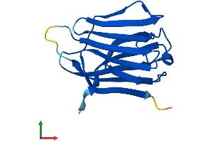 AlphaFold protein structure predicition of Human Recombinant LGALS16 Protein, UniprotID A8MUM7 (Galectin-16 Protein (AA 1-142) (His tag))