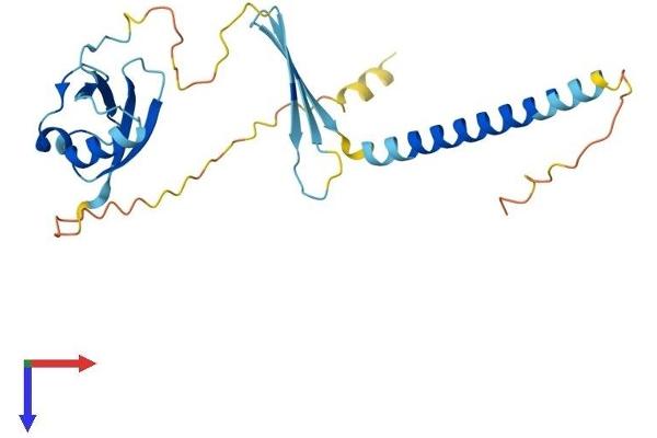 CIDEC Protein (AA 1-238) (His tag)
