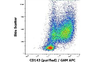 Flow cytometry surface staining pattern of human GM-CSF + IL-4 stimulated peripheral blood mononuclear cells stained using anti-human CD143 (5-369) purified antibody (concentration in sample 0,6 μg/mL) GAM APC. (Angiotensin I Converting Enzyme 1 antibody)