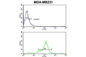 Flow Cytometry (FACS) image for anti-BCL2-Related Protein A1 (BCL2A1) antibody (ABIN2997079) (BCL2A1 antibody)