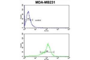 Flow Cytometry (FACS) image for anti-BCL2-Related Protein A1 (BCL2A1) antibody (ABIN2997079)