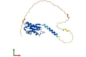 Protein Structure (PS) image for B-Cell Translocation Gene 4 (BTG4) (AA 1-223) protein (His tag) (ABIN7552711)