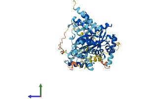 AlphaFold protein structure predicition of Mouse Recombinant Jrkl Protein, UniprotID B2RRL2 (JRKL Protein (AA 1-523) (His tag))