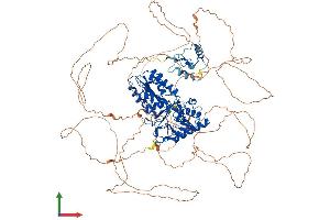 AlphaFold protein structure predicition of Human Recombinant DCLRE1A Protein, UniprotID Q6PJP8 (SNM1 Protein (AA 1-1040) (His tag))