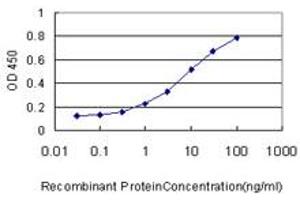 Detection limit for recombinant GST tagged MGC29891 is approximately 0. (GABPB2 antibody  (AA 1-448))