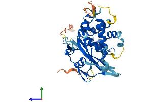 Protein Structure (PS) image for Ubiquitin Specific Peptidase 50 (USP50) (AA 1-339) protein (His tag) (ABIN7545018)