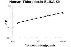 Human Thioredoxin PicoKine ELISA Kit standard curve (TXN ELISA Kit)