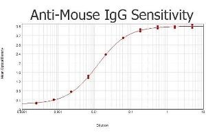 ELISA results of purified Rabbit anti-Mouse IgG Antibody tested against purified Mouse IgG. (Rabbit anti-Mouse IgG (Heavy & Light Chain) Antibody)