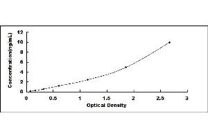 Typical standard curve (Nestin ELISA Kit)