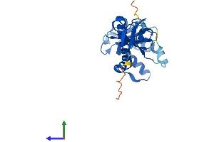 AlphaFold protein structure predicition of Human Recombinant MKRN2OS Protein, UniprotID H3BPM6 (MKRN2OS Protein (AA 1-223) (His tag))