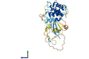 AlphaFold protein structure predicition of Human Recombinant C3P1 Protein, UniprotID Q6ZMU1 (C3P1 Protein (AA 1-363) (His tag))