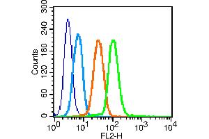 K562 cells probed with GLUT4 Polyclonal Antibody, unconjugated  at 1:100 dilution for 30 minutes compared to control cells (blue) and isotype control (orange) (GLUT4 antibody  (AA 401-509))