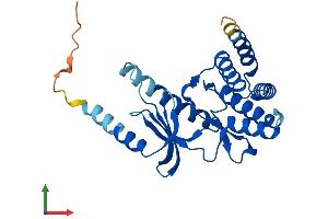 Protein Structure (PS) image for TP53 Regulating Kinase (TP53RK) (AA 1-253) protein (His tag) (ABIN7550941)