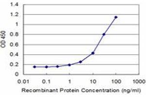 Detection limit for recombinant GST tagged RAG2 is approximately 1ng/ml as a capture antibody. (RAG2 antibody  (AA 428-527))