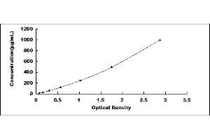 Typical standard curve (LEFTY2 ELISA Kit)