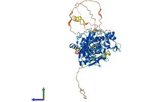 AlphaFold protein structure predicition of Human Recombinant PARP6 Protein, UniprotID Q2NL67 (PARP6 Protein (AA 1-630) (His tag))