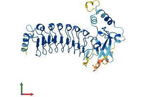 AlphaFold protein structure predicition of Mouse Recombinant Lrrc28 Protein, UniprotID Q3TX51