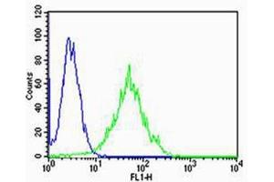 Flow cytometric analysis of Hela cells using PSEN2(Presenilin-2 NTF subunit) Antibody (N-term)(green, Cat(ABIN1944732 and ABIN2838558)) compared to an isotype control of rabbit IgG(blue). (Presenilin 2 antibody  (N-Term))