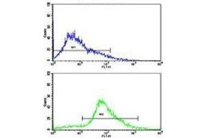 Flow cytometric analysis of Jurkat cells using CDK2 antibody (bottom histogram) compared to a negative control (top histogram). (CDK2 antibody  (AA 230-260))