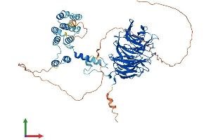 Protein Structure (PS) image for WD Repeat Domain 26 (WDR26) (AA 1-661) protein (His tag) (ABIN7545090)