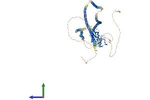 AlphaFold protein structure predicition of Mouse Recombinant Clip2 Protein, UniprotID Q9Z0H8 (CLIP2 Protein (AA 1-1047) (His tag))