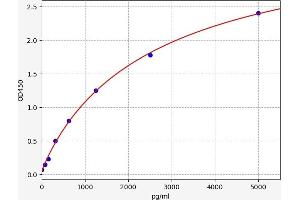Typical standard curve (CYB5R2 ELISA Kit)