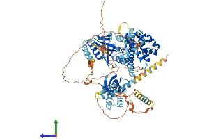 AlphaFold protein structure predicition of Human Recombinant EPS8L2 Protein, UniprotID Q9H6S3
