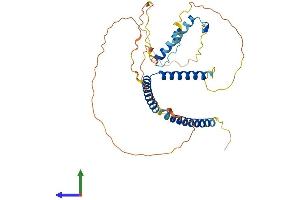 AlphaFold protein structure predicition of Human Recombinant HEXIM1 Protein, UniprotID O94992 (HEXIM1 Protein (AA 1-359) (His tag))