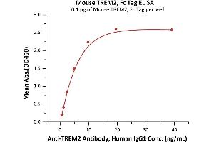 Immobilized Mouse TREM2, Fc Tag (ABIN6973291) at 1 μg/mL (100 μL/well) can bind A Antibody, Human IgG1 with a linear range of 0.